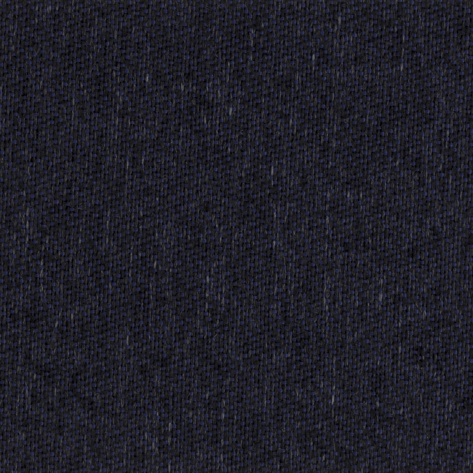 Ria Navy